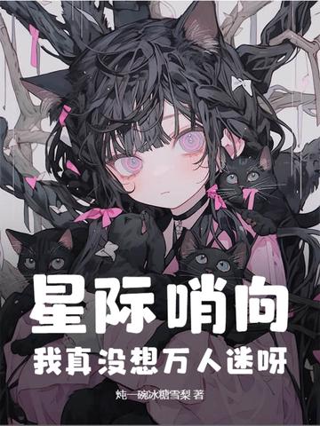 星际哨兵向导的推荐