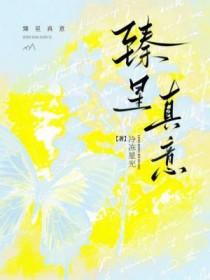臻壹什么意思 臻壹什么意思