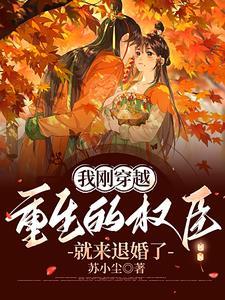 穿越后我成了权臣的前妻 穿越后我成了权臣的前妻