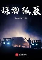孤雁谍战剧 孤雁谍战剧