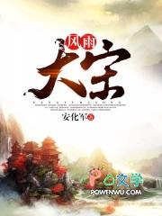 风雨大宋精校版 风雨大宋精校版