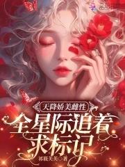 天降小娇娘 天降小娇娘