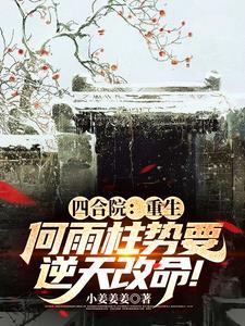 四合院豪华 四合院豪华