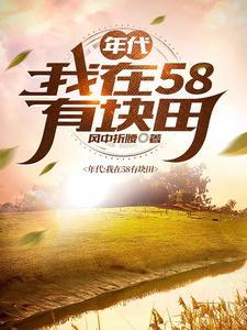 年代我在58有块田作者风格折腰 年代我在58有块田作者风格折腰