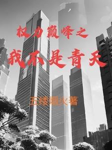 权力巅峰之我不是青天免费观看 权力巅峰之我不是青天免费观看