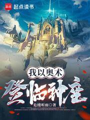 我以奥术登临神座顶点 我以奥术登临神座顶点