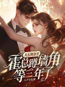 夫人她总想离婚 夫人她总想离婚