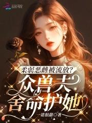 粘土老师 粘土老师