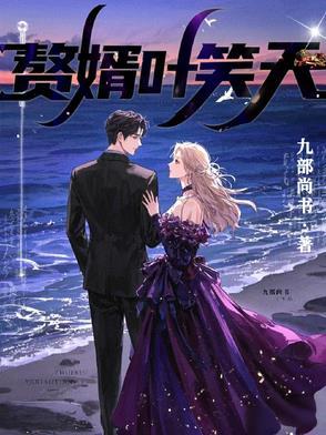 赘婿叶笑天 赘婿叶笑天